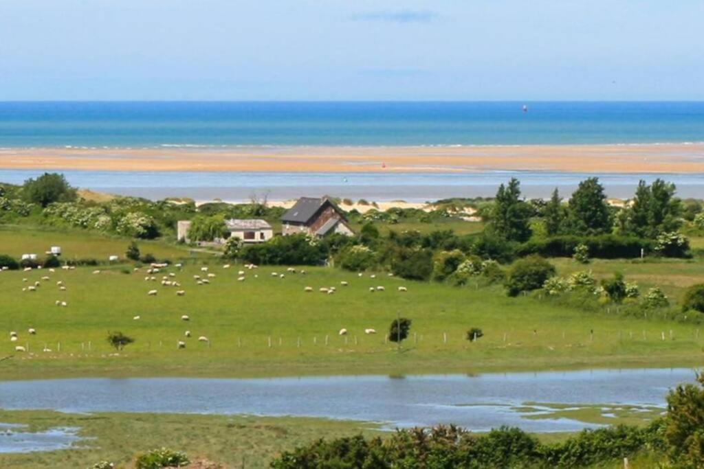 Maison Au Pied Des Dunes, 200m De La Montmartin-sur-Mer